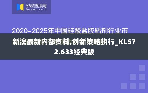 新澳最新内部资料,创新策略执行_KLS72.633经典版