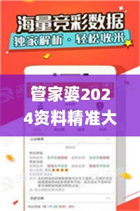 管家婆2024资料精准大全,专业调查具体解析_PZS72.505精致版