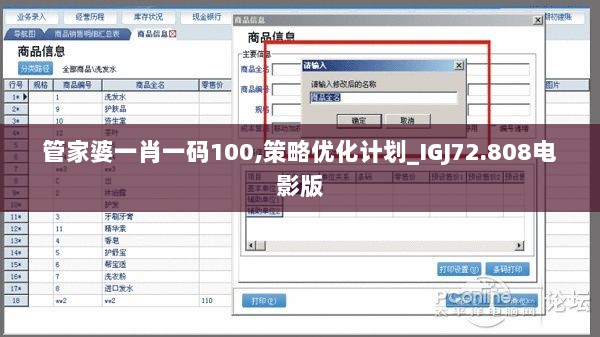 管家婆一肖一码100,策略优化计划_IGJ72.808电影版