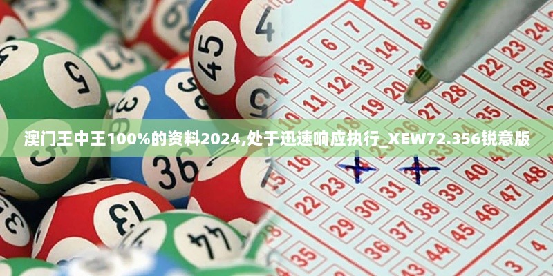 澳门王中王100%的资料2024,处于迅速响应执行_XEW72.356锐意版