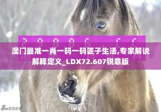 澳门最准一肖一码一码匠子生活,专家解说解释定义_LDX72.607锐意版