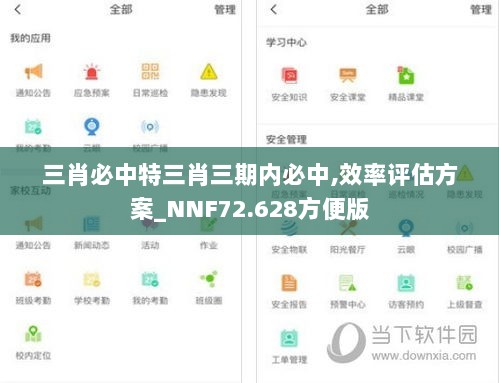 三肖必中特三肖三期内必中,效率评估方案_NNF72.628方便版