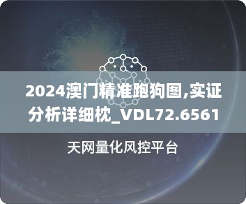 2024澳门精准跑狗图,实证分析详细枕_VDL72.6561440p