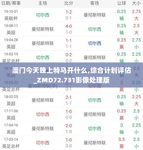 澳门今天晚上特马开什么,综合计划评估_ZMD72.731影像处理版