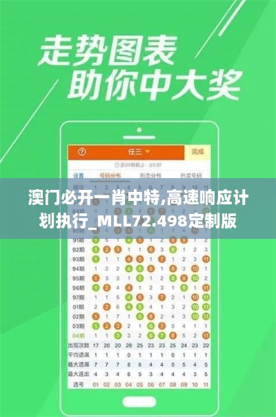 澳门必开一肖中特,高速响应计划执行_MLL72.498定制版