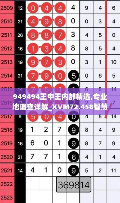 949494王中王内部精选,专业地调查详解_XVM72.458智慧共享版