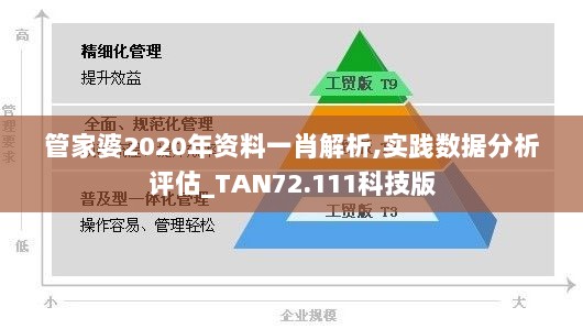 管家婆2020年资料一肖解析,实践数据分析评估_TAN72.111科技版