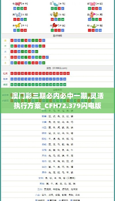 澳门彩三期必内必中一期,灵活执行方案_CFH72.379闪电版