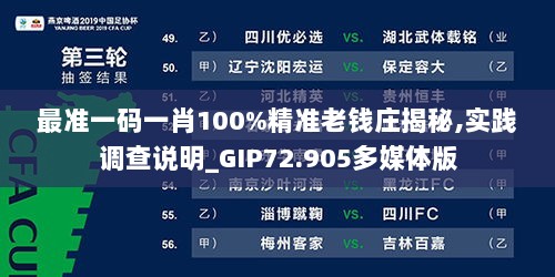 最准一码一肖100%精准老钱庄揭秘,实践调查说明_GIP72.905多媒体版