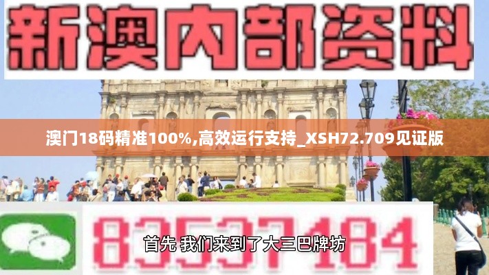 澳门18码精准100%,高效运行支持_XSH72.709见证版