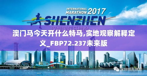 澳门马今天开什么特马,实地观察解释定义_FBP72.237未来版