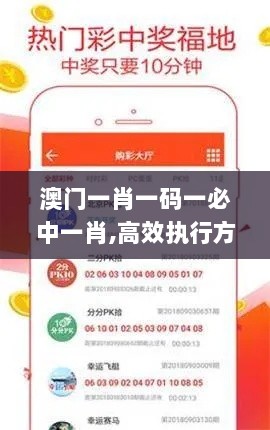 澳门一肖一码一必中一肖,高效执行方案_ZWD72.692迅捷版