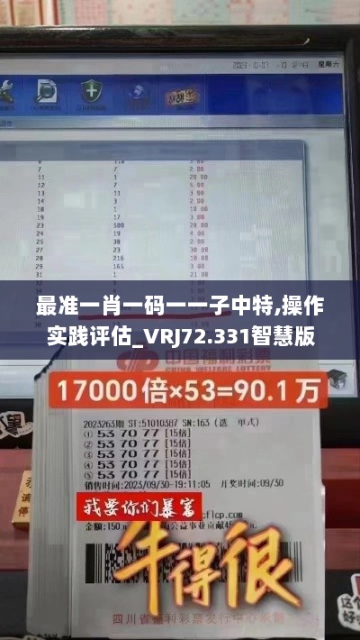 最准一肖一码一一子中特,操作实践评估_VRJ72.331智慧版