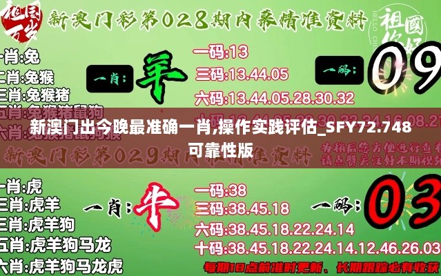 新澳门出今晚最准确一肖,操作实践评估_SFY72.748可靠性版