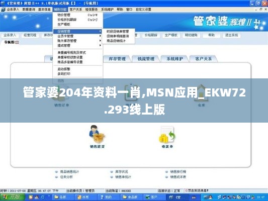 管家婆204年资料一肖,MSN应用_EKW72.293线上版