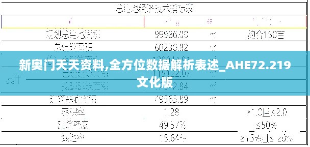 新奥门天天资料,全方位数据解析表述_AHE72.219文化版