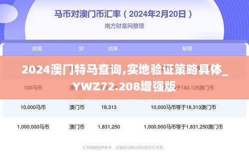 2024澳门特马查询,实地验证策略具体_YWZ72.208增强版