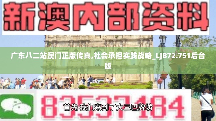 广东八二站澳门正版传真,社会承担实践战略_LJB72.751后台版