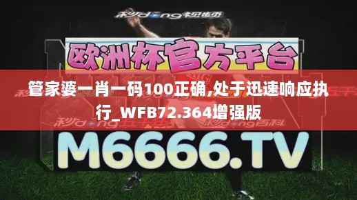 管家婆一肖一码100正确,处于迅速响应执行_WFB72.364增强版