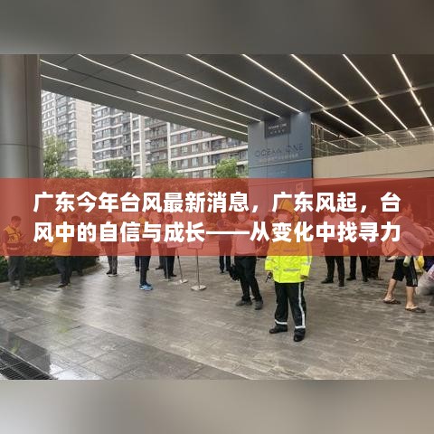 广东台风最新动态，风起云涌中的自信与成长力量