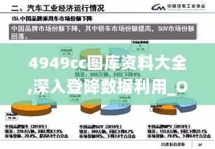 4949cc图库资料大全,深入登降数据利用_OAK72.445体验版