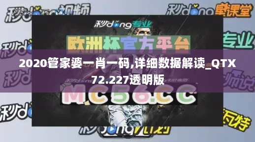 2020管家婆一肖一码,详细数据解读_QTX72.227透明版