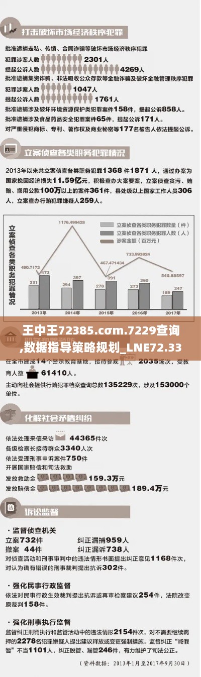 王中王72385.cσm.7229查询,数据指导策略规划_LNE72.338编辑版