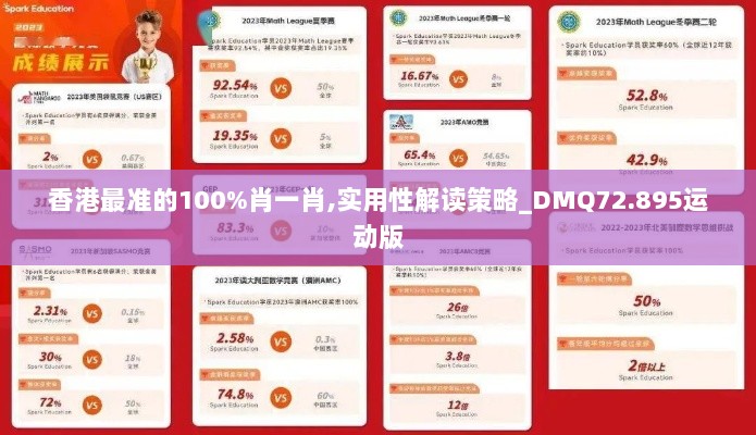 香港最准的100%肖一肖,实用性解读策略_DMQ72.895运动版