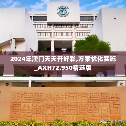 2024年澳门天天开好彩,方案优化实施_AXH72.950精选版