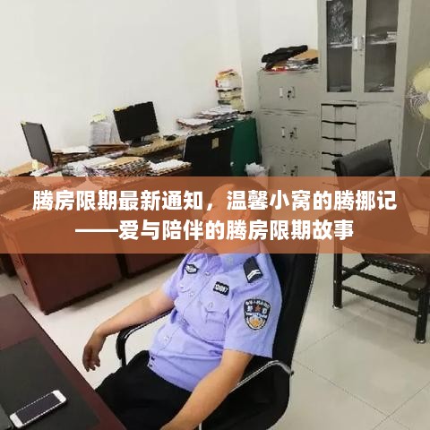 腾房限期通知，爱与陪伴的温馨小窝腾挪记