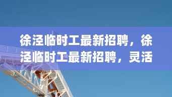 徐泾临时工最新招聘，灵活就业新机遇等你来！