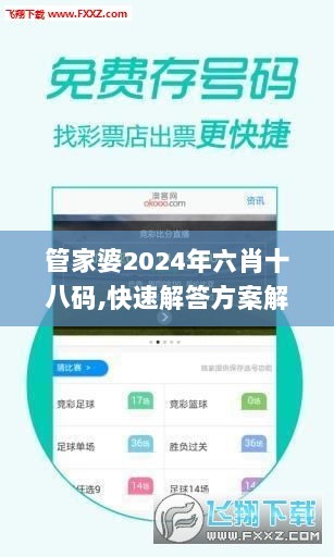 管家婆2024年六肖十八码,快速解答方案解析_IFG4.67.98盒装版