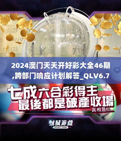 2024澳门天天开好彩大全46期,跨部门响应计划解答_QLV6.75.64进口版