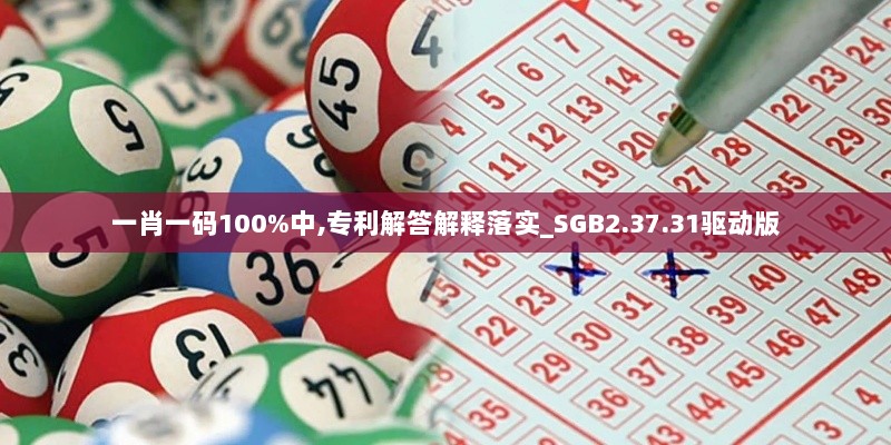 一肖一码100%中,专利解答解释落实_SGB2.37.31驱动版