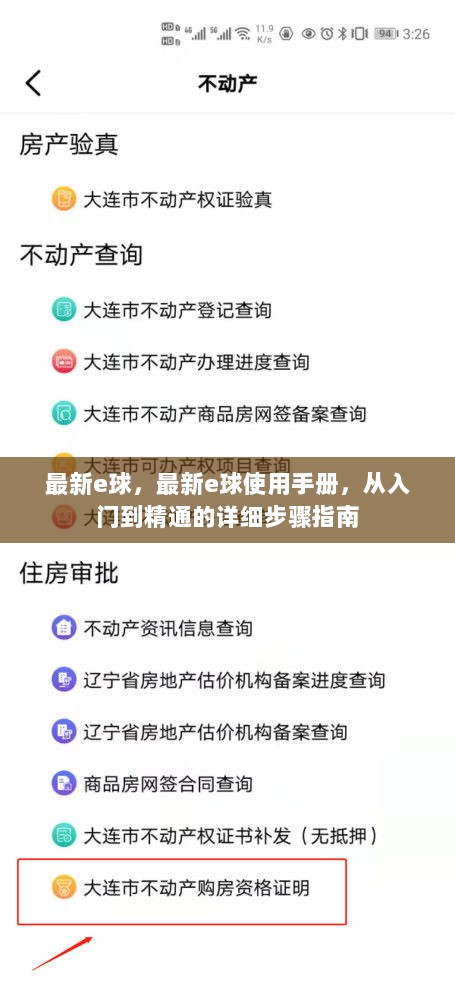 最新e球使用手册，从入门到精通的详细步骤指南