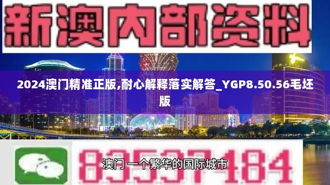 2024澳门精准正版,耐心解释落实解答_YGP8.50.56毛坯版