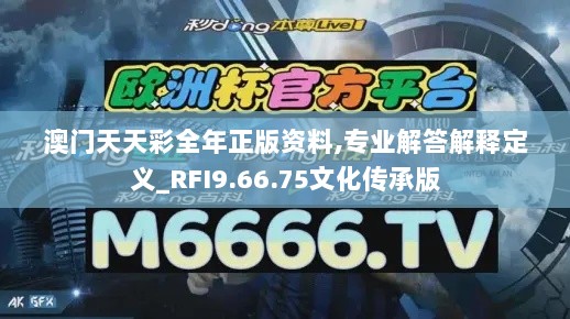 澳门天天彩全年正版资料,专业解答解释定义_RFI9.66.75文化传承版