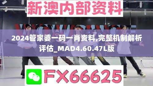 2024管家婆一码一肖资料,完整机制解析评估_MAD4.60.47L版