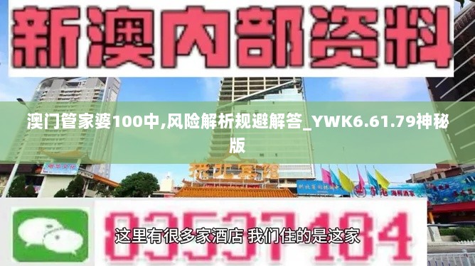 澳门管家婆100中,风险解析规避解答_YWK6.61.79神秘版