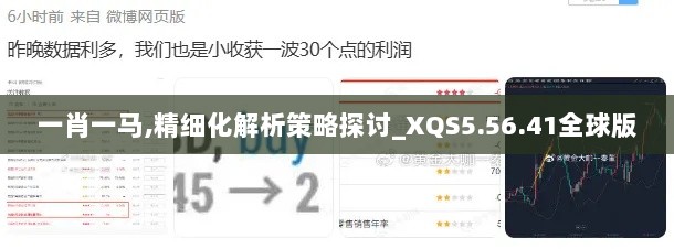 一肖一马,精细化解析策略探讨_XQS5.56.41全球版