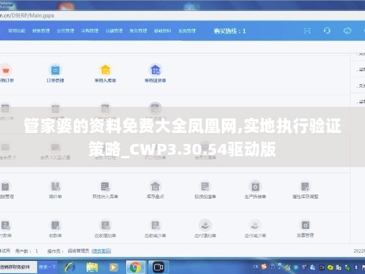 管家婆的资料免费大全凤凰网,实地执行验证策略_CWP3.30.54驱动版