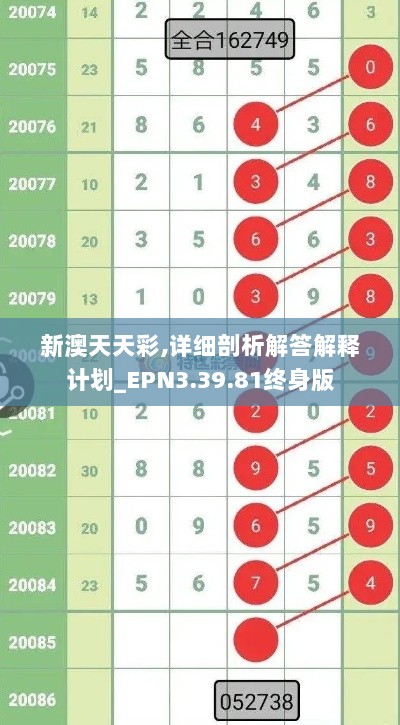 新澳天天彩,详细剖析解答解释计划_EPN3.39.81终身版