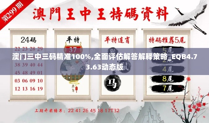 澳门三中三码精准100%,全面评估解答解释策略_EQB4.73.63动态版