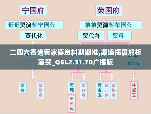 二四六香港管家婆资料期期准,渠道拓展解析落实_QEL2.31.70广播版