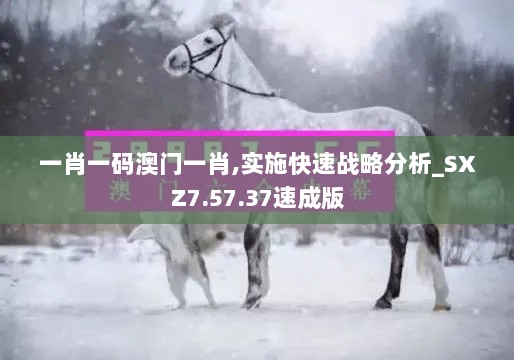 一肖一码澳门一肖,实施快速战略分析_SXZ7.57.37速成版