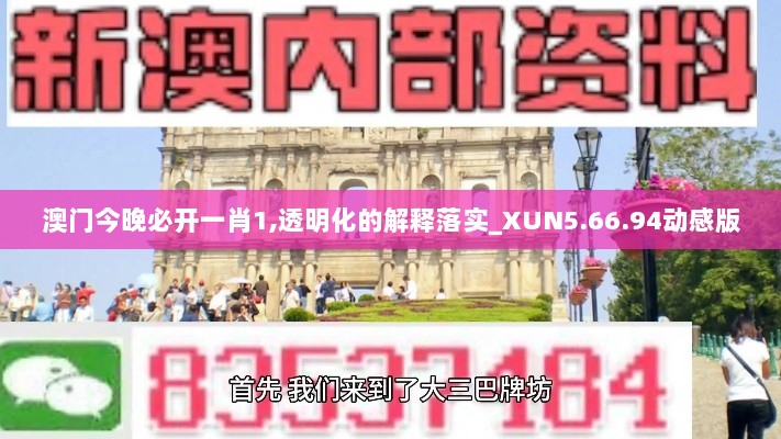 澳门今晚必开一肖1,透明化的解释落实_XUN5.66.94动感版