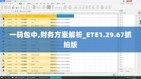 一码包中,财务方案解析_ETE1.29.67抓拍版