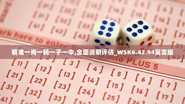 精准一肖一码一子一中,全面说明评估_WSK6.42.94寓言版