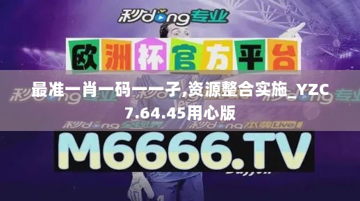 最准一肖一码一一孑,资源整合实施_YZC7.64.45用心版