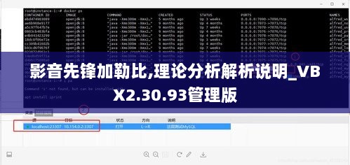 影音先锋加勒比,理论分析解析说明_VBX2.30.93管理版